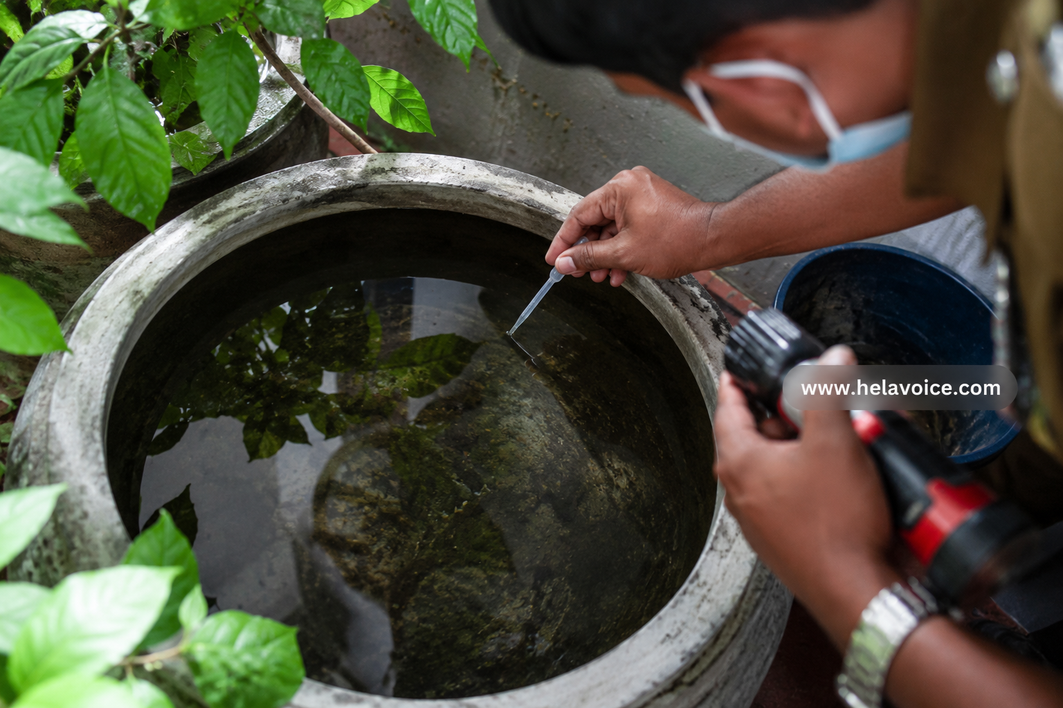 Western Province Dengue Cases Near 35,000 as National Death Toll Reaches 46