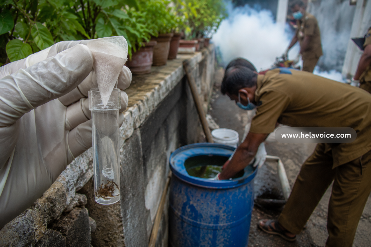 Health Experts Warn Next Two Weeks Critical as Dengue Risk Intensifies in Sri Lanka